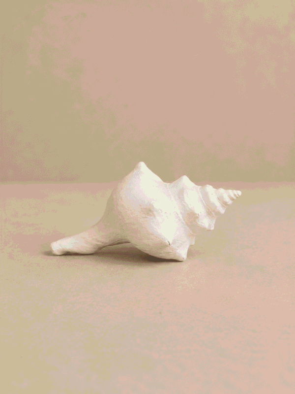 Λευκό διακοσμητικό κοχύλι σε φυσικό σχέδιο για coastal και mediterranean διακόσμηση.